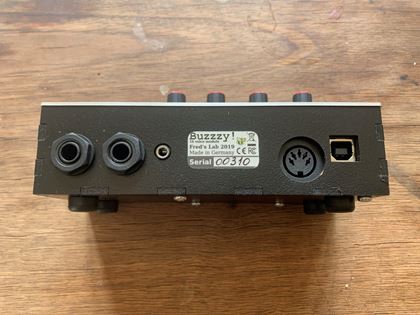 Unknown-Fred's Lab Buzzy